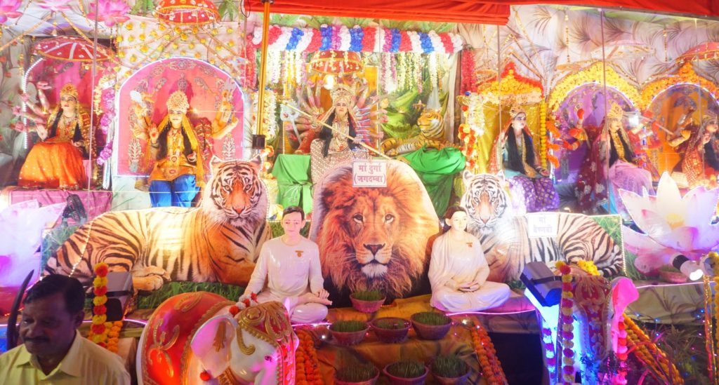 NAVRATRI - 2024 ALL PHOTOS & NEWS